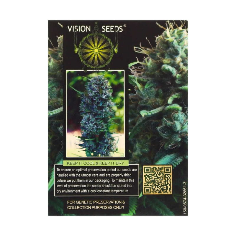 Silver Haze wietzaadjes kopen morgen in huis