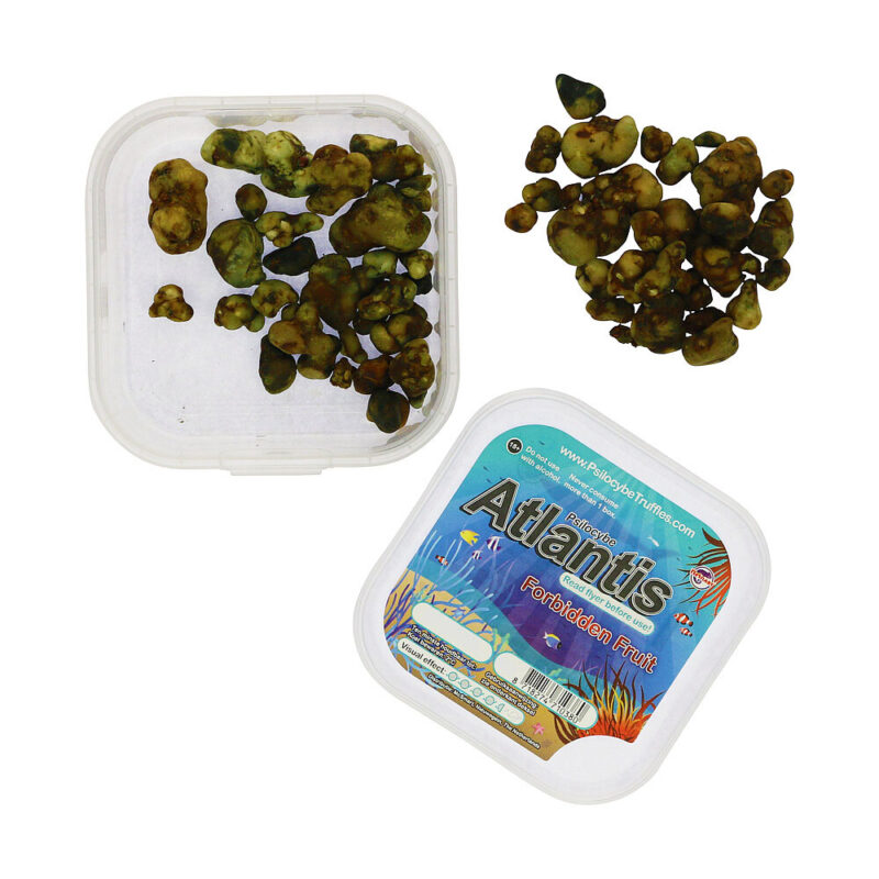 Magic Truffels kopen