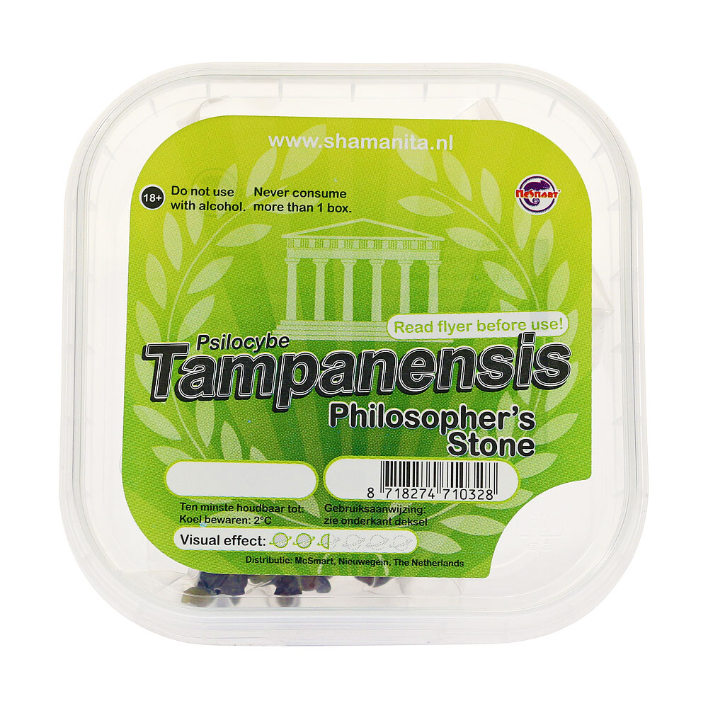 Tampanensis Magic Truffels