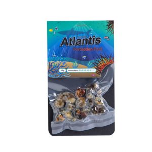 Atlantis magic truffels kopen