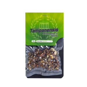 Tampanensis magic truffels kopen