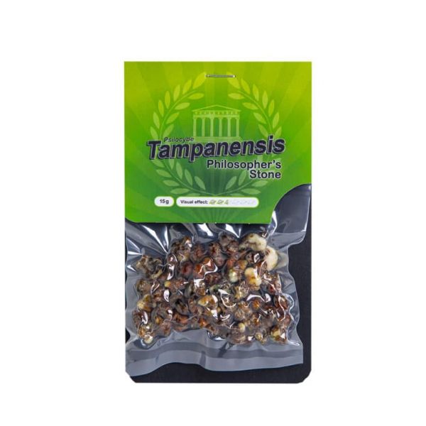 Tampanensis magic truffels kopen