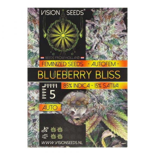 Auto Blueberry Bliss Seeds | Wietzaadjes Kopen