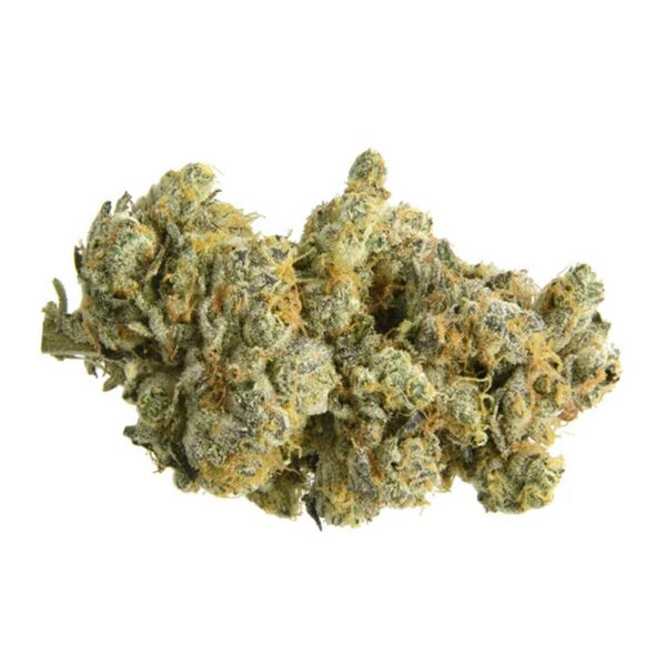 Auto GMO Cookies 5 zaden – CC