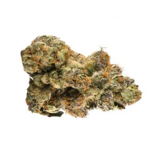 Auto Gelato 33 5 zaden – CC