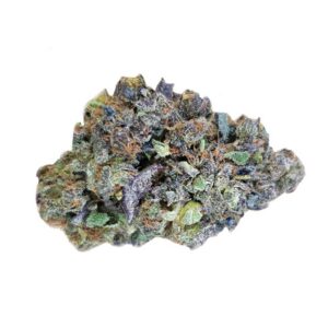 Dolato feminized 5 zaden – CC