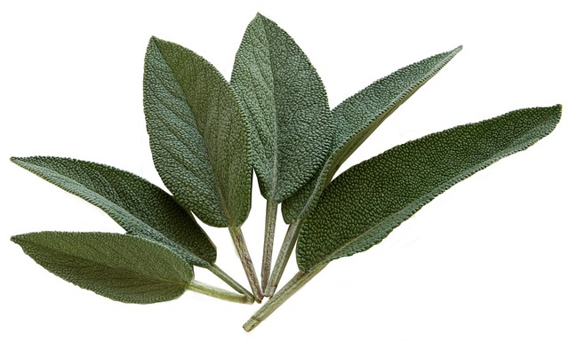 Salvia Mystic kopen