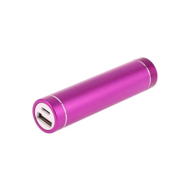 Geheime Stash Powerbank paars