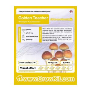 Golden Teacher Paddo Growkit - 1200 cc