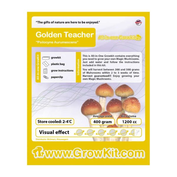 Golden Teacher Paddo Growkit - 1200 cc