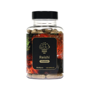 Reishi extract capsules - 120 stuks