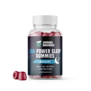 CBD POWER SLEEP GUMMY BEARS, 60PCS