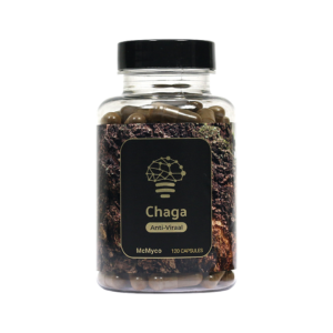 Chaga extract capsules - 120 stuks kopen