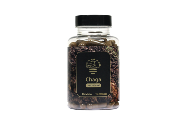Chaga extract capsules - 120 stuks kopen