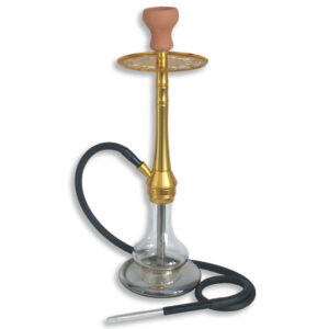 Waterpijp Hermos 58cm Goud Kopen