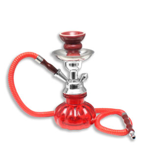 Waterpijp Pumkin 23cm Rood Kopen