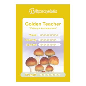 Golden Teacher Sporeprint kopen