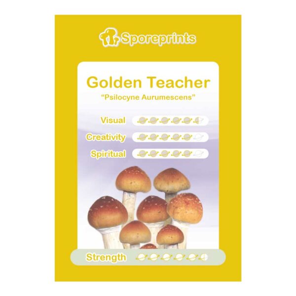 Golden Teacher Sporeprint kopen