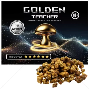 Psilocybe Golden Teacher Truffels 15 gram Kopen