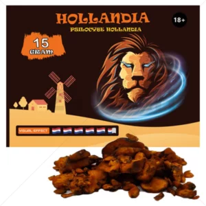 Psilocybe Hollandia Truffels 15 gram Kopen
