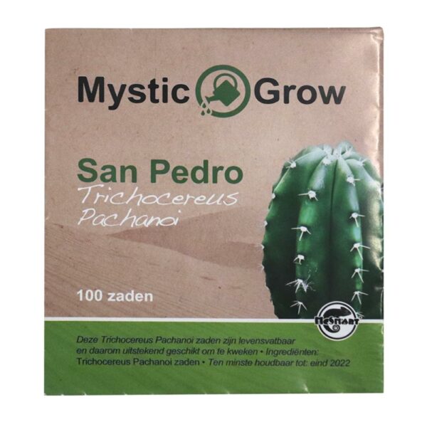 San Pedro T Pachanoi zaden - 100 stuks Kopen
