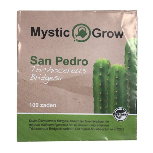 San Pedro T bridgesii zaden - 100 stuks Kopen