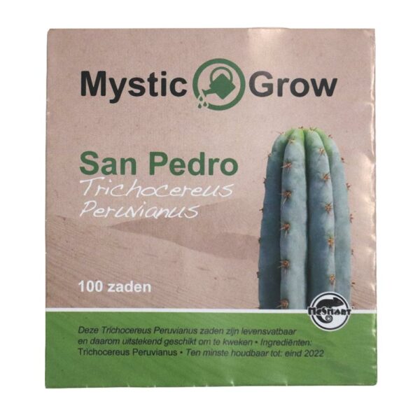 San Pedro T. Peruvianus seeds - 100 stuks Kopen